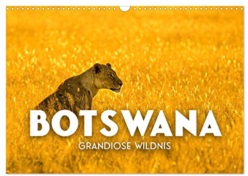 Botswana - Grandiose Wildnis (Wandkalender 2026 DIN A3 quer), CALVENDO Monatskalender: Atemberaubende Artenvielfalt. (CALVENDO Orte)