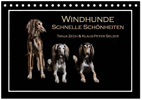 Windhunde - Schnelle Schönheiten (Tischkalender 2026 DIN A5 quer), CALVENDO Monatskalender: Überblick über diverse Windhundrassen, fotogrfaiert im ... mal nicht auf der Rennbahn (CALVENDO Tiere)