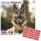Deutscher Schäferhund Hund Kalender 2021 | Eckiger Hunderasse Wandkalender | 16 Monate | mit Organisationsaufklebern