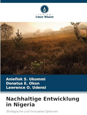 Nachhaltige Entwicklung in Nigeria: Strategische und innovative Optionen