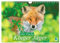 Der Fuchs: Kluger Jäger (Wandkalender 2025 DIN A4 quer), CALVENDO Monatskalender