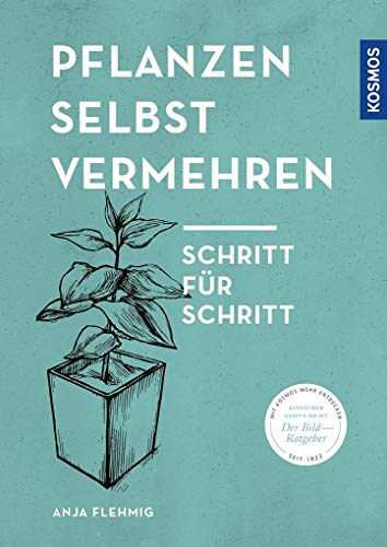 Pflanzen selbst vermehren: Schritt für Schritt