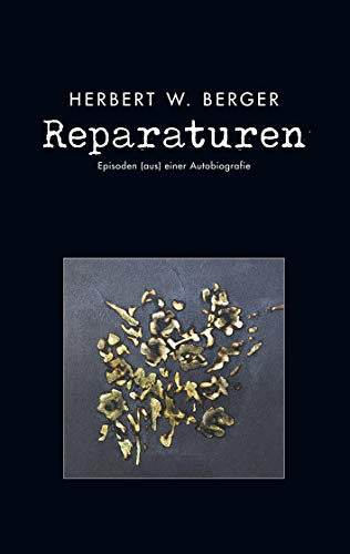 Reparaturen: Episoden aus einer Autobiografie