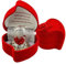 Safri Red Rose Teddy Bear Gift GF BF Girlfriend Boyfriend Husband Wife Anniversary Birthday Xmas Christmas valentine's day Present