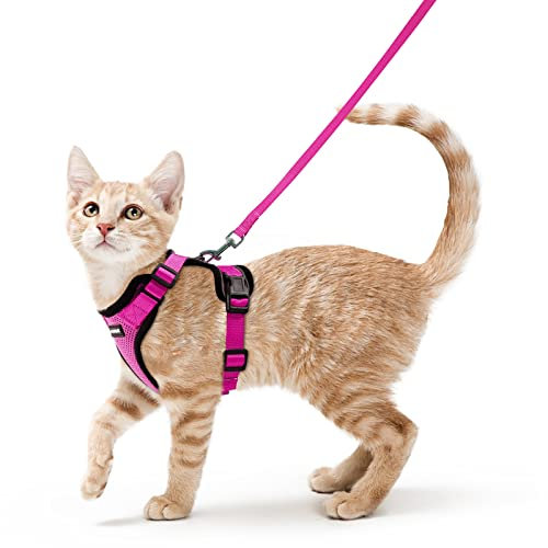 rabbitgoo Pettorina Gatto Antifuga con Guinzaglio, Guinzaglio per Gatti Regolabile, Pettorina Cane Taglia Piccola Riflettente, Imbracatura Gatto Adulto in Maglia Traspirante, Rosa Rossa, XS