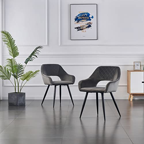 JYMTOM Samt Esszimmerstuhl, Sessel, Wohnzimmerstuhl, Farbe wählbar, modernes Design, gepolsterter Sitz mit offener Rückenlehne, Schwarze Metallbeine für Küche, Schlafzimmer, Esszimmer (2, grau)