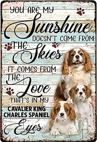 Retro Decor Blechschilder Cavalier King Charles Spaniel You Are My Sunshine Retro Wandkunst Dekor Eisen Malerei Für Zuhause Küche Cafe Pub Schild Plakette 14 x 20 cm