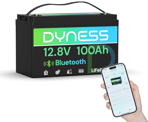 Dyness LiFePO4 12V 100Ah Lithium Batterie Bluetooth mit 100A BMS, Max.15000 Zyklen, 12V Deep Cycle Lithium Eisenphosphat Batterie für Wohnwagen, Boote, Solarsystem, Netzunabhängig
