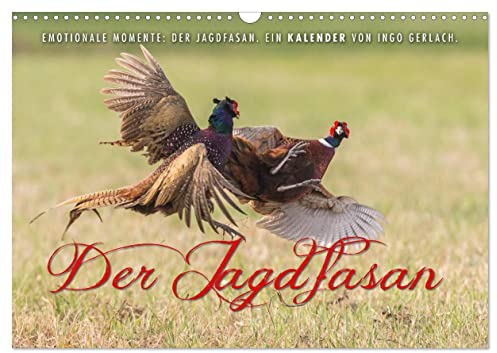 Emotionale Momente: Der Jagdfasan. (Wandkalender 2025 DIN A3 quer), CALVENDO Monatskalender: Der Jagdfasan ist durch sein buntes Gefieder in seinem Lebensraum sehr auffällig. (CALVENDO Tiere)