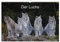 Der Luchs (Wandkalender 2025 DIN A4 quer), CALVENDO Monatskalender
