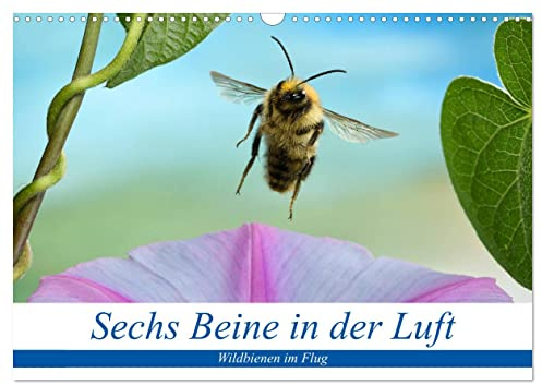 Sechs Beine in der Luft - Wildbienen im Flug (Wandkalender 2026 DIN A3 quer), CALVENDO Monatskalender: Bilder von fliegenden Wildbienen (CALVENDO Orte)