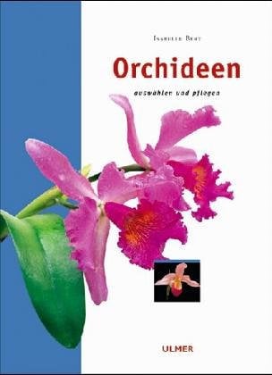 Orchideen: Auswählen und pflegen