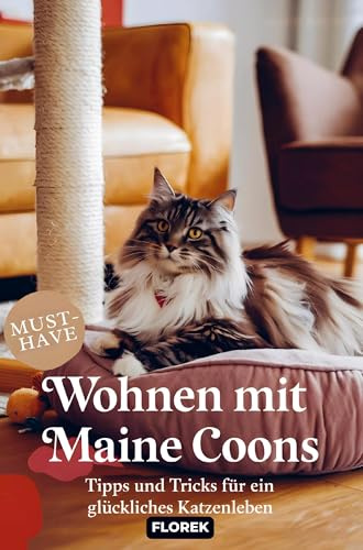 Wohnen mit Maine Coons: Tipps & Tricks für ein glückliches Katzen Leben