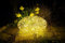 Star Trading CC808-10 LED-3D-Design-Stein Galax Stone Alu eloxiert, ca. 30x55 cm, 100 warmwhite LED, Gold, outdoor, Trafo