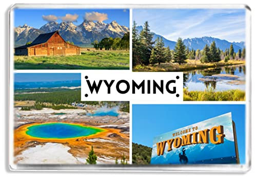 Wyoming - US State - Souvenir Tourist - Fridge Magnet - Novelty Keepsake Gift