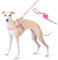 Wuffley Anti-Zug Hundegeschirr mit Leine, Hundegeschirr Kleine Mittelgroße Hunde, Geschirr Hund mit Griff und 2 Aufnähern, Reflektierendes, Leichtes Brustgeschirr Hund für Outdoor-Training（Rosa，M