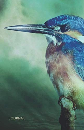 Journal: Kingfisher Bird Notebook Lined Writing Journal Art Gift Diary Blue Carnet de Notes Cahier Martin-pêcheur Eisvogel Vogel Notizbuch Diario Pájaro martín pescador カワセミの鳥