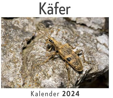 Käfer (Wandkalender 2024, Kalender DIN A4 quer, Monatskalender im Querformat mit Kalendarium, Das perfekte Geschenk)