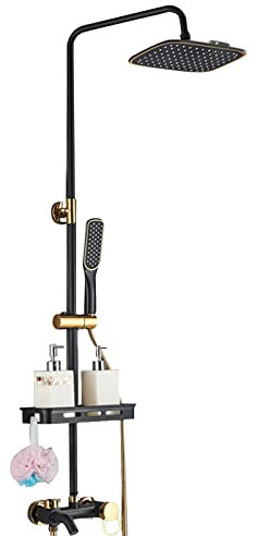 Colonne de douche avec douchette Noir 20 cm