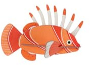 Wanddeko | 3D | Rotfeuerfisch | Recyclingkarton | zum Zusammenstecken