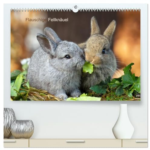 Flauschige Fellknäuel (hochwertiger Premium Wandkalender 2026 DIN A2 quer), Kunstdruck in Hochglanz: Kleine Kaninchenbabies, große Freude (CALVENDO Tiere)