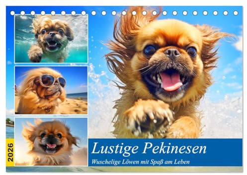 Lustige Pekinesen. Wuschelige Löwen mit Spaß am Leben (Tischkalender 2026 DIN A5 quer), CALVENDO Monatskalender: Diese putzigen Hunde hinterlassen Pfotenabdrücke auf unseren Herzen! (CALVENDO Tiere)