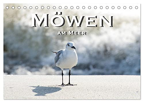 Möwen am Meer (Tischkalender 2026 DIN A5 quer), CALVENDO Monatskalender: Faszinierende Möwenbilder an Traumstränden (CALVENDO Tiere)