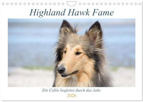 Highland Hawk Fame - Ein Collie begleitet durch das Jahr (Wandkalender 2026 DIN A4 quer), CALVENDO Monatskalender: Bilder einer Rough Collie Hündin ... Wald, Wiese und Weinberge (CALVENDO Tiere)
