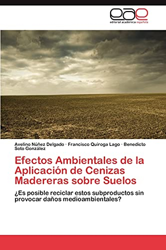 Efectos Ambientales de la Aplicación de Cenizas Madereras sobre Suelos: ¿Es posible reciclar estos subproductos sin provocar daños medioambientales?