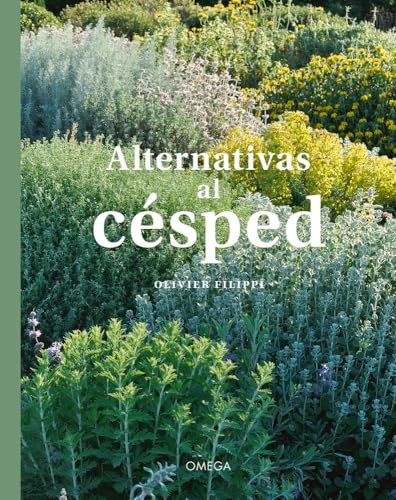 Alternativas al Césped