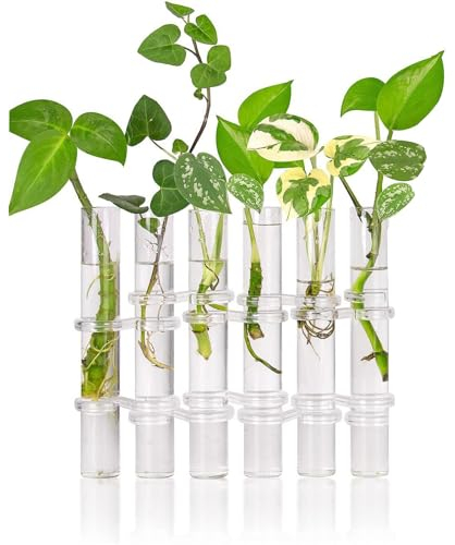 Liemuao Blumenvase, faltbar, mit Gelenken, 8 Stück, Reagenzglasvase, Anzuchtstation für Pflanzen, Terrarium für Pflanzen, Knospengefäß in Rohr, für den Innenbereich (6 Röhren – 2,5 cm)