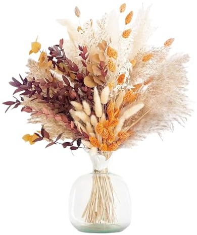 LIUYIDM 64 Pièces Bouquet Fleurs Sechees Naturelles Pampas Sechees | Decoration Herbe de la Pampa xxl Fleur Sechees Decoration pour Décoration de Salon Chambre Table à Manger Ambiance Bohème