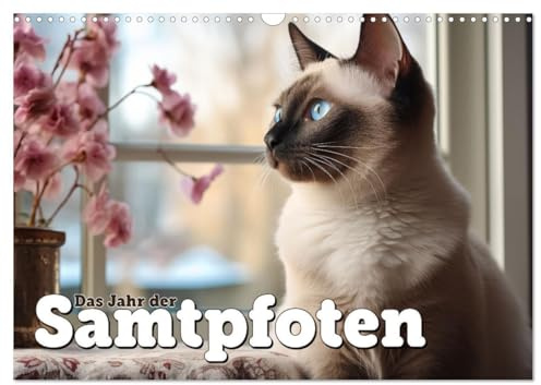 Das Jahr der Samtpfoten (Wandkalender 2026 DIN A3 quer), CALVENDO Monatskalender: Stilsicher zeigen sich unsere lieben Samtpfötchen (CALVENDO Tiere)