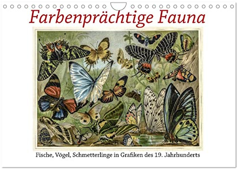 Farbenprächtige Fauna. Fische, Vögel, Schmetterlinge in Grafiken des 19 Jahrhunderts (Wandkalender 2026 DIN A4 quer), CALVENDO Monatskalender: Höchst ... besten Künstler der Zeit. (CALVENDO Kunst)