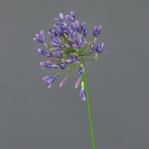 artplants.de Dekoblume Agapanthus ASONG, lila-blau, 75 cm - Künstliche Stielblume