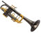 Student Trompete Blechblasinstrument Flache B-Klappe Schwarz Nickel Gold Klappe Standard Trompeteninstrument Anfänger Erwachsener Schüler Blasinstrument Trompete