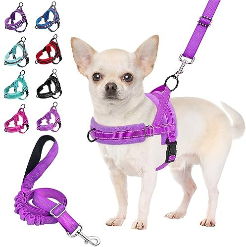 Eyein Dog Harness Small Dog, Anti Pull Heavy Duty Dog Harness and Lead Set, Easy for Walk Vest Harness Soft Padded Reflective Adjustable Anti-Twist Pet Lead Quick fit for Small Puppy Dog Cat(S)