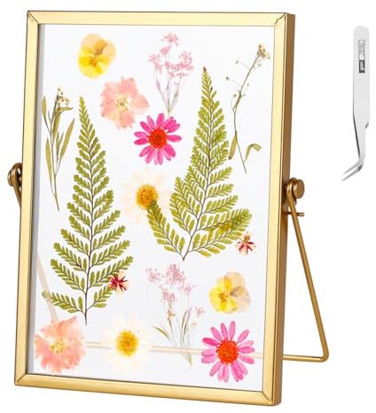 NZZVNZ Bilderrahmen Glasrahmen für Gepresste Blumen 15 X 20 cm Beidseitig Sichtbar Gold Doppelglas Bilderrahmen Stehend Durchsichtig Fotorahmen Pflanzenprobe Artwork Bild Display Halter