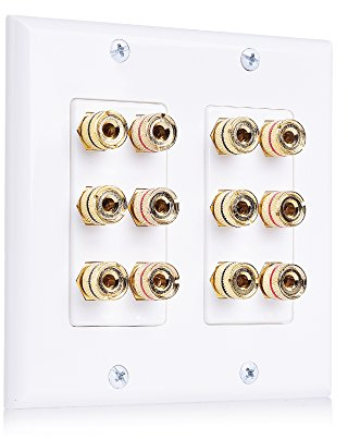 Cable Matters Double Gang Speaker Wall Plate (Banana Plug Wall Plate) with Binding Post for 6 Speakers in White