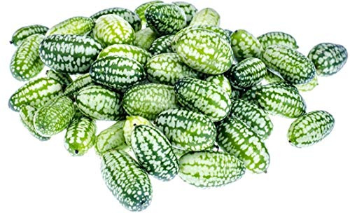 Melothria Scabra - Cucamelon mexikanische Mini Gurke/Gurkenmelone-20 Samen-