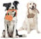 Nobleza - Corda giocattolo per cani, 100% cotone, utile per la salute dentale del cane, la salute dentale e la pulizia dei denti, tipo di cane, 43 cm