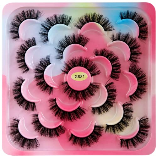 Falsche Wimpern 10 Paare, 6D Künstliche Wimpern Set, Wiederverwendbare natürliche Wimpern (G881)