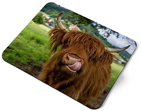 Computer Mouse Mat Pad - Brown Highland Cow Cattle Home Office PC Desk Accessory Flexible Fabric Top Large 5mm Laptop Desktop Printed Art Ergonomic #44472
