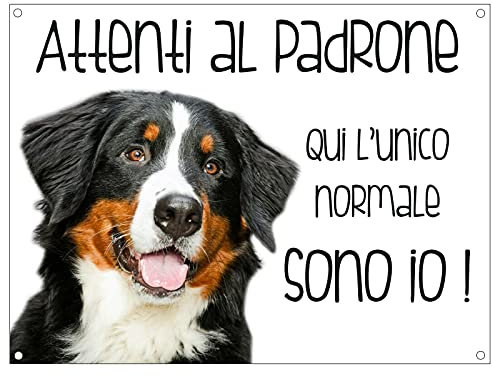 CARTELLO CANE - BOVARO DEL BERNESE Attenti al padrone qui l'unico normale sono io - Con Adesivo in Vinile e Pannello in Forex (Pannello 5mm Stampato)