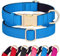 Didog Hundehalsband aus Nylon, weich gepolstert, strapazierfähiges Hundehalsband mit Schnellverschluss-Metallschnalle, leichtes und atmungsaktives Hunde Halsband für kleine Hunde,Blau,S