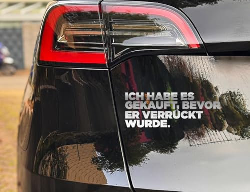 ICH HABE ES GEKAUFT, BEVOR ER VERRÜCKT WURDE (I Bought this before Elon went Crazy) - ca. 18 x 6,6 cm - Das Sons of Battery Original Design auf Deutsch Tesla Auto Aufkleber Statement (Silber)