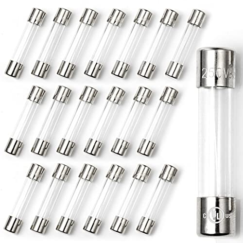 Chanzon 20 Stück VDE Prüf 6x30 4A Sicherungen Sicherung Glassicherung Glasrohrsicherung Feinsicherung Schnelle Glas Sicherung 125V Glas AGC-Patronen-Rohrsicherung schnell durchgebrannt 250 V