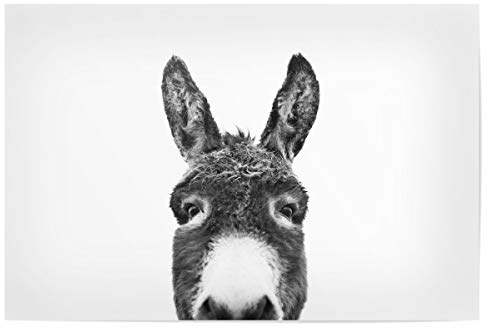 artboxONE Poster 30x20 cm Tiere Peeking Donkey hochwertiger Design Kunstdruck - Bild Donkey Black and White Donkey