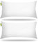Beautissu Allergiker Kopfkissen 40x80 cm 2er Set – Mikrofaser Steppkissen 450g Weiche Füllung – 60° Waschbares Schlafkissen Oeko-TEX – Kissen 80x80 Pillow 80x80 – Sofa Deko Kissen Bett BeauNuit UK