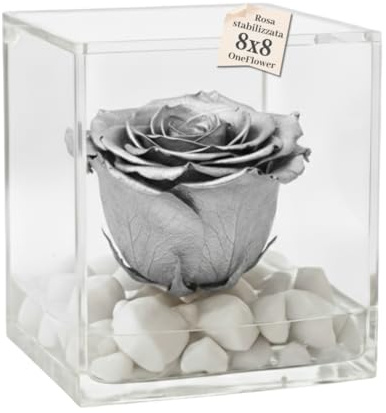 PREMIUMROSE - Cubo Rosa Stabilizzata 8 cm con Base Microbolle - Rosa Eterna Stabilizzata Made in Italy - Idea per Nozze d'Argento e Celebrazioni Raffinate - Argento A 1086
